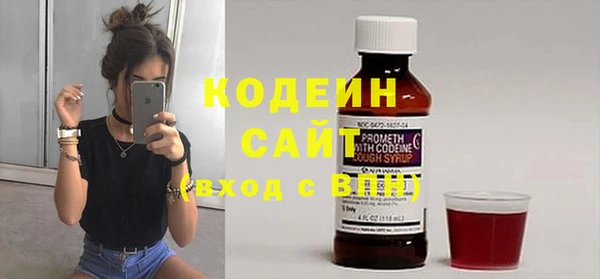 шишки Балахна