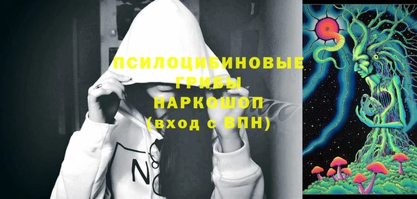 шишки Балахна