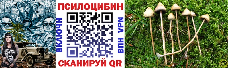 даркнет сайт  Зеленоградск  Псилоцибиновые грибы прущие грибы 